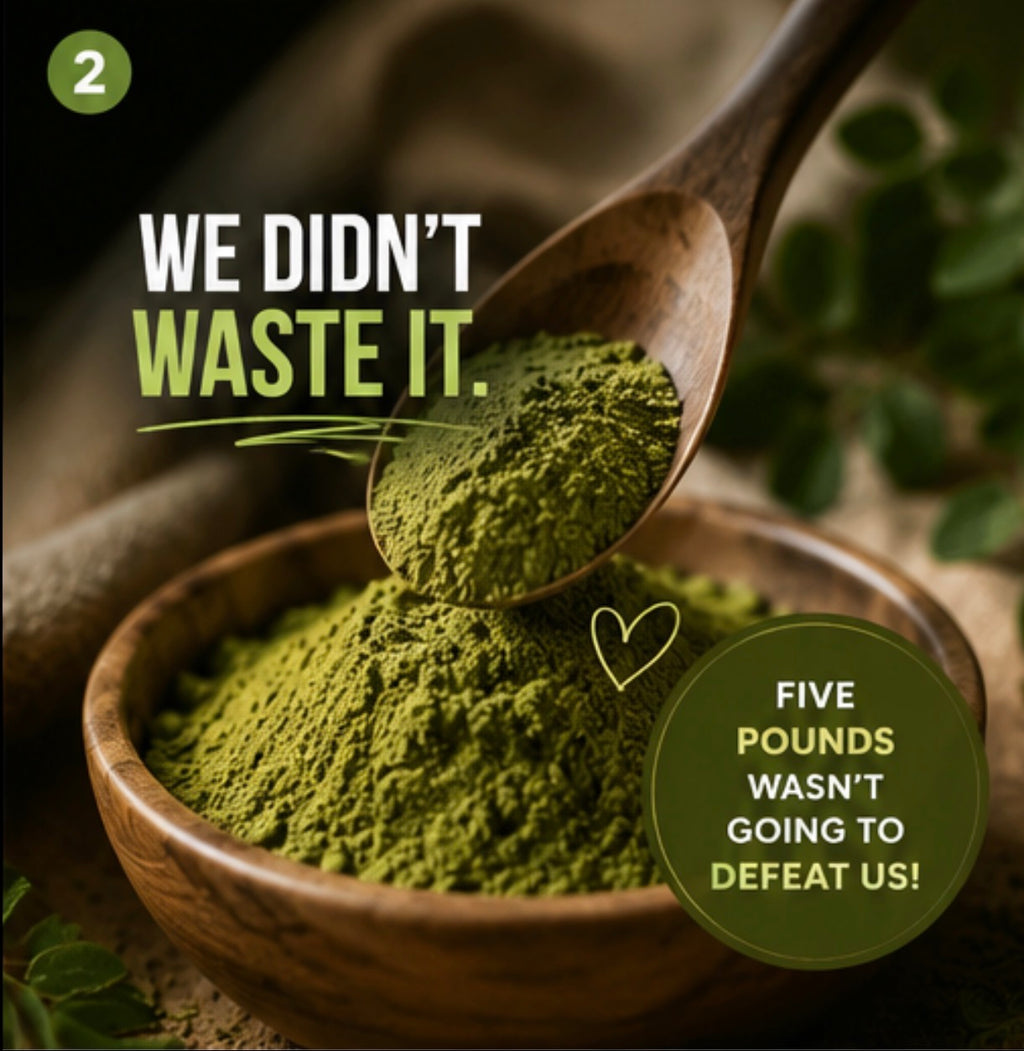 Moringa Latte Sample Pack (Pre-Order)